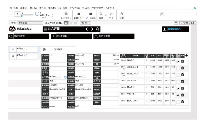 ファイルメーカーとは！？使い方から価格まで。画面のレイアウトが自由自在。砺波ホームページ作成。